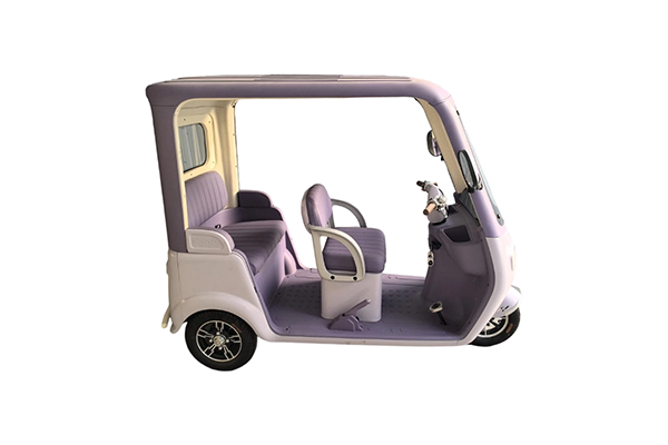 Juejue Purple HQ-Lushang Mini Tricycle for Kids-Grocery Shopping Short Trips 30KM Range 30KM/h Speed